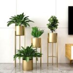 Living Room Indoor Plants Decoration Ideas