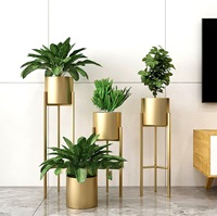 Living Room Indoor Plants Decoration Ideas